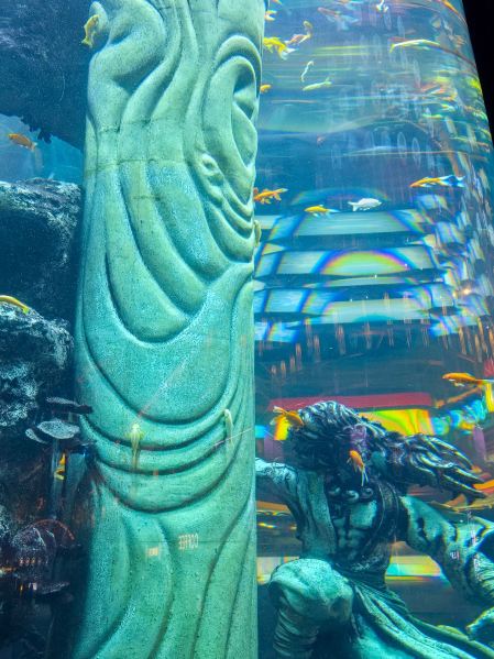 人魚は本当にいた。少なくとも青島には、間違いなく存在します