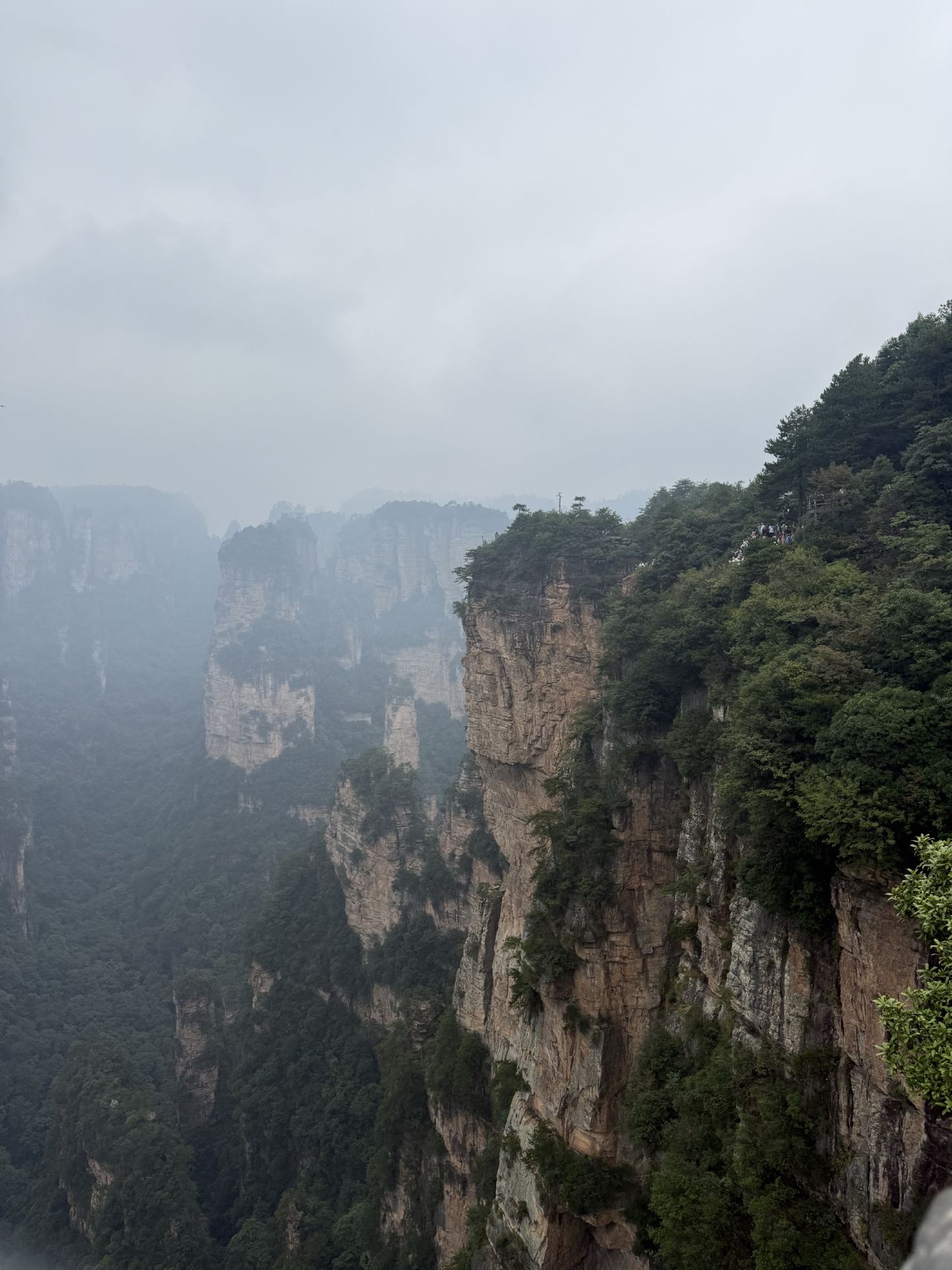 Zhangjiajie National Forest Park: A Scenic Adventure Worth Experiencing