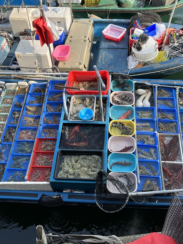 香港｜西貢樂悠悠