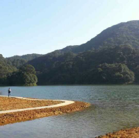 打卡廣州石門森林公園
