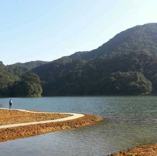 打卡廣州石門森林公園