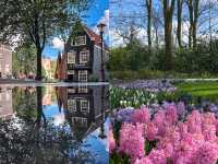 Netherlands 🇳🇱 Amsterdam | A must-visit city in your lifetime, nanny-level guide