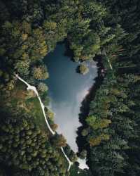 Capturing Autumn Mystique in Tollymore Forest, Ireland