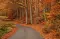 _EnchantementFee123_