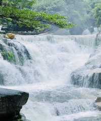 夏日避暑勝地，臥龍谷