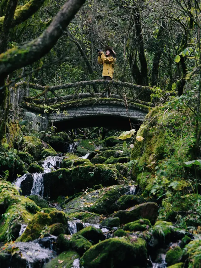 來神農架一定要去神農頂，風景太豐富了