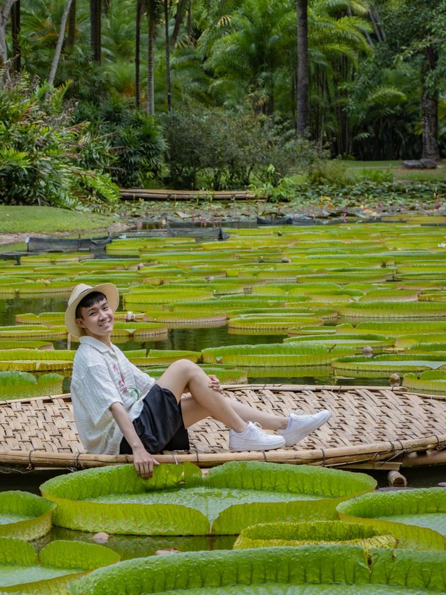 為了中科院植物園專程飛到西雙版納