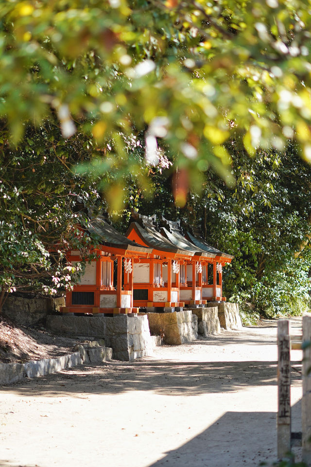 瀨戶內海一日體驗，騎行感受海灣美妙