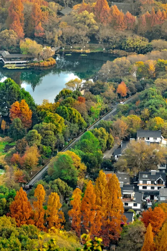 杭州秋天最值得爬的山！西湖秋景盡收眼底！