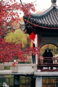 發現上海｜奉賢古華園，這裡的紅葉也很美