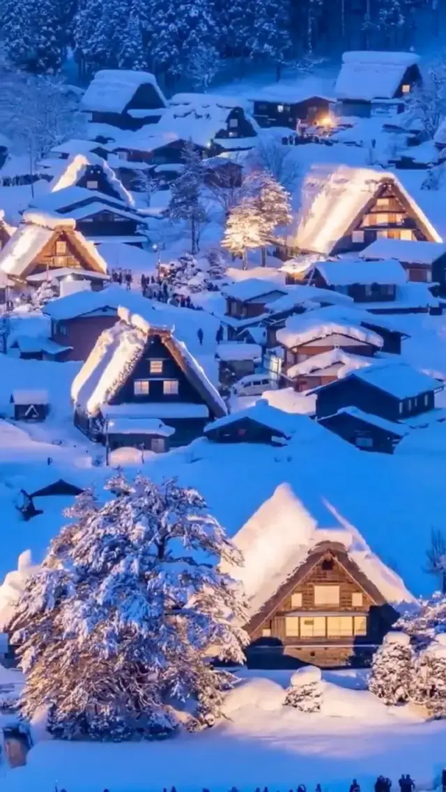 今日白川鄉暴雪😭根本不輸北海道‼ ️