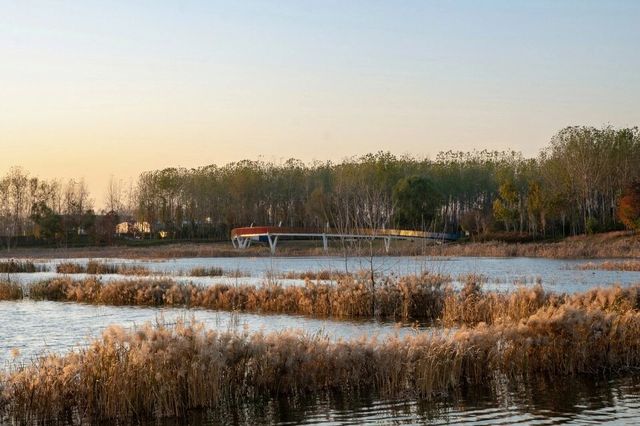 河南 周口沙河灣濕地公園 | 城市生態彈性修復的重要載體