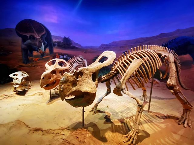 你見過破殼的恐龍蛋化石嗎？