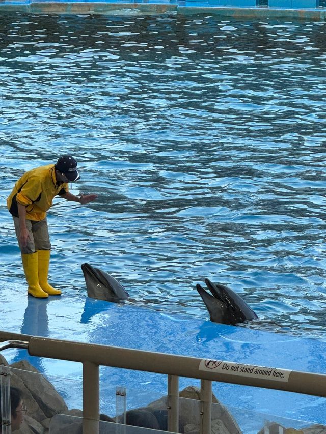 名古屋水族館