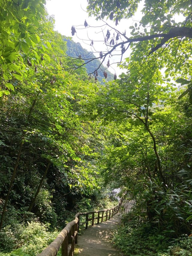 郴州王仙岭｜｜宛如在畫中