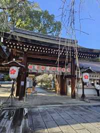 【平野神社·十月櫻·2024】