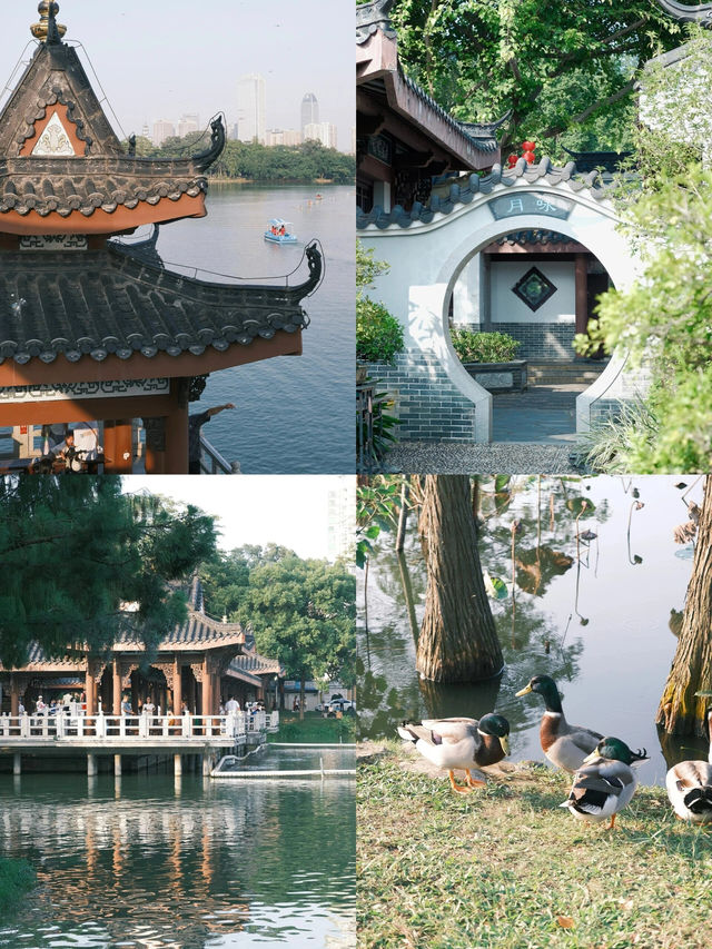 寒假惠州1日遊｜愛好這3條路線｜廣州周邊