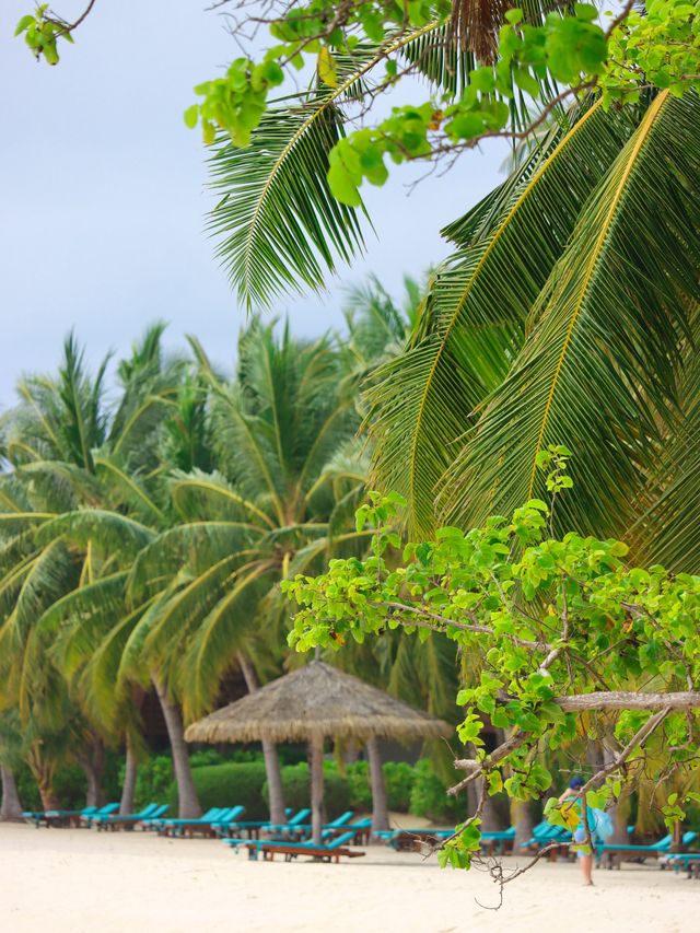 Club Med Kani, The Maldives🇲🇻🌴☀️