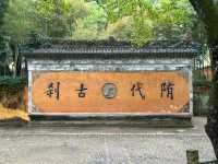 在稻子黃柿子紅的時節去國清寺啦