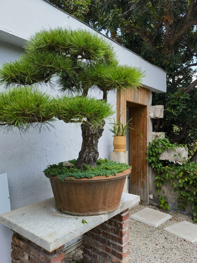 人間煙火“泉州”-華僑文化“寄園”