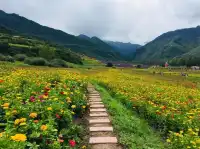 一起相約七里花海