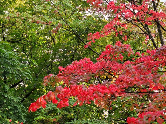 範度森植物園