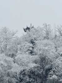 豐鳳凰古城的雪,南方小土豆的快樂!