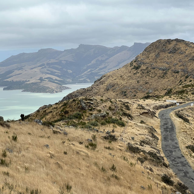Explore City and Nature in Christchurch!