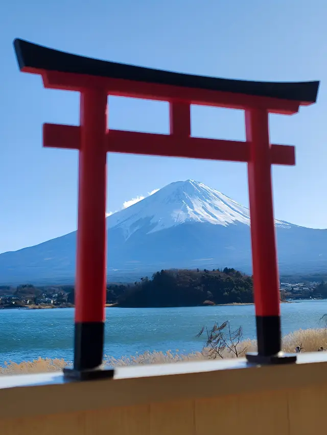 富士山一日遊九人小團