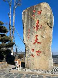 帶狗旅行｜安吉旅遊攻略碼住