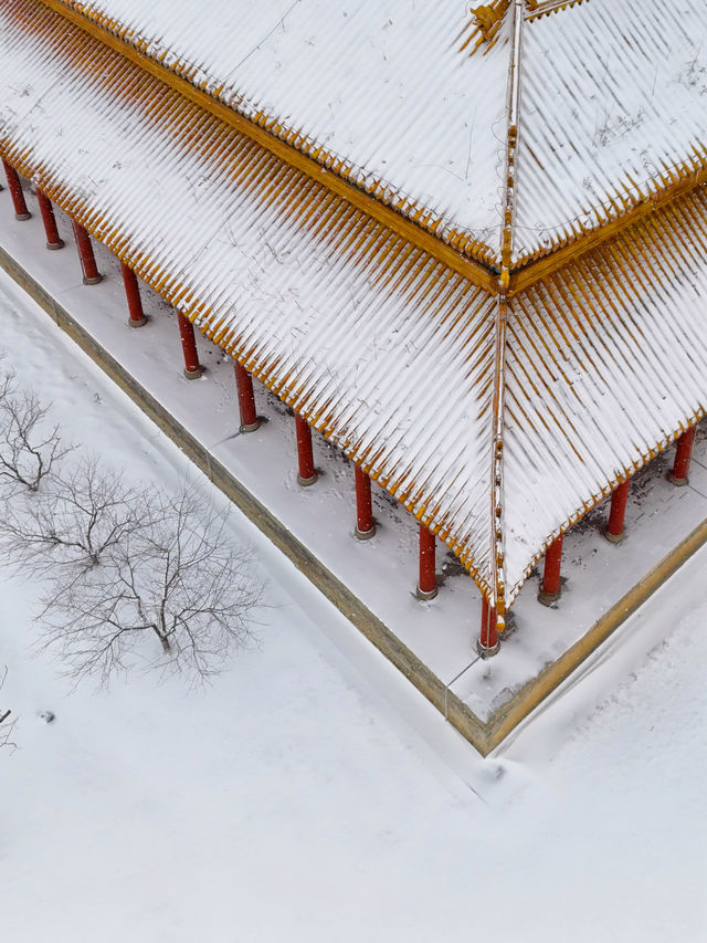 龍年第場雪，我在吉林拍到東方美學