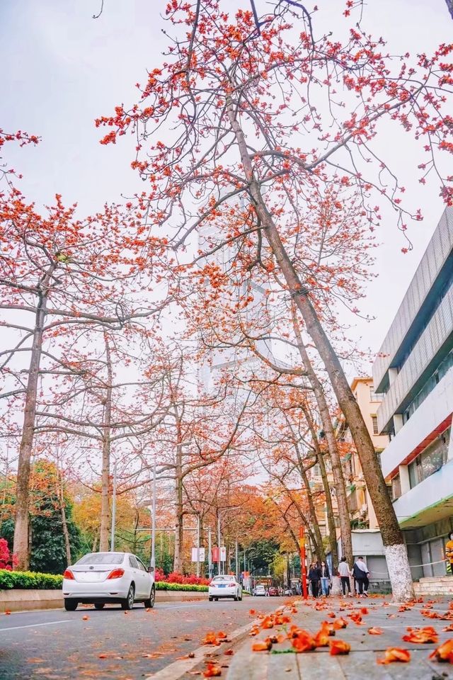 廣州拍照·離開廣州前一定要去一次陵園西路！