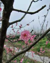 上海長興島，網紅丁字壩打卡