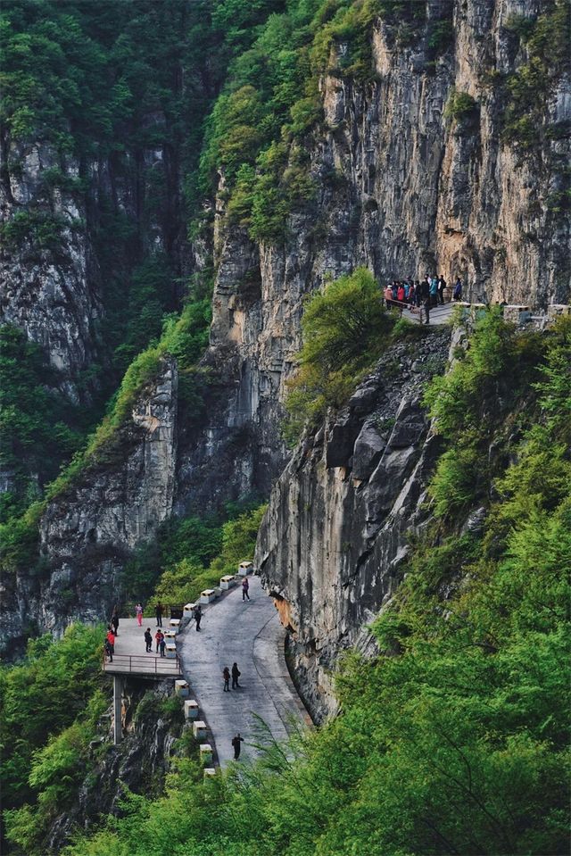 中國這個隱秘賞花地，山水遠超桂林~