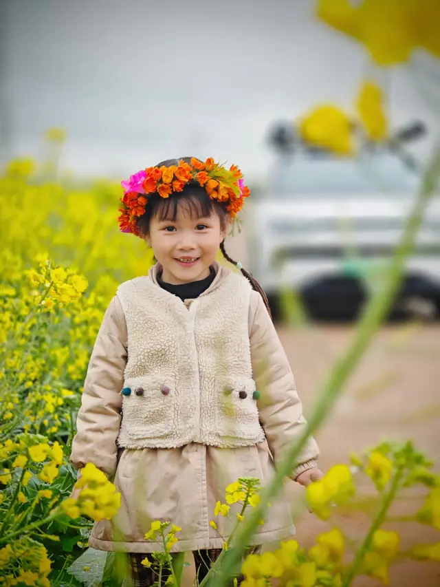 Hurry up! Catch the last bus to the Luoping rapeseed flowers