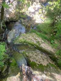湖州臧龍百瀑｜寄情山水 探秘自然