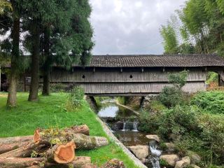 Is it a place with few beautiful sceneries? —— Yue Shan Village during the Celebration of the New Month