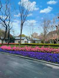 春日賞花好去處閘北公園