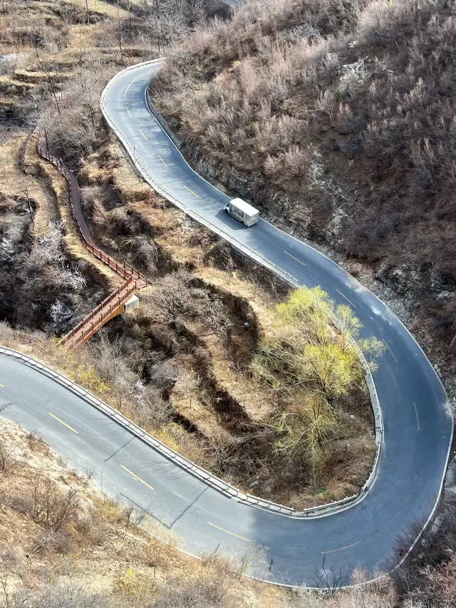 태행산에 봄이 따뜻하게 오르니 봄산이 좋구나