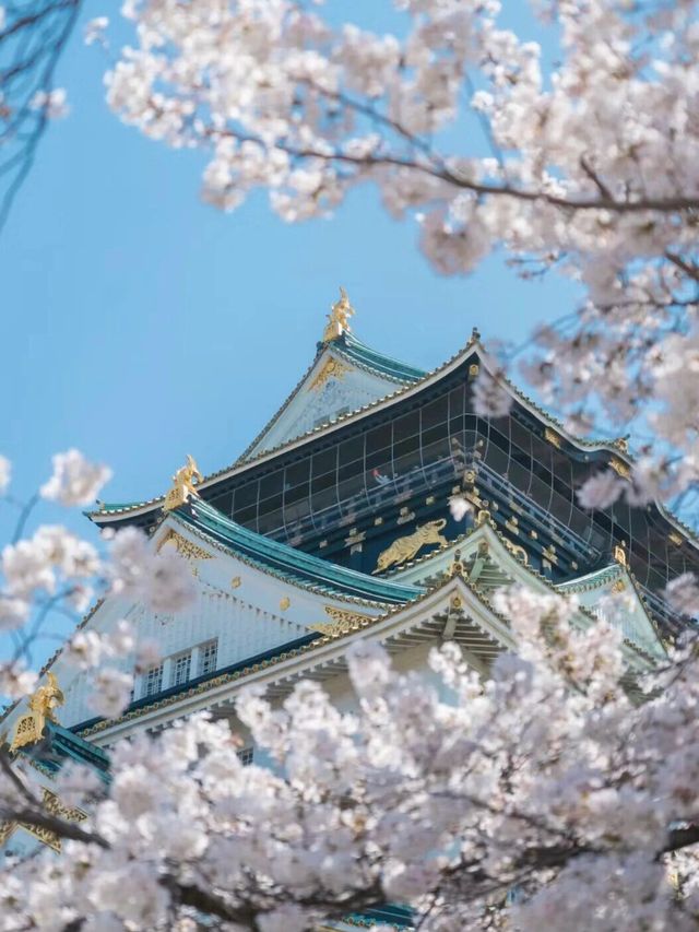 關西七日私家團——帶你穿越日本的歷史與風情！