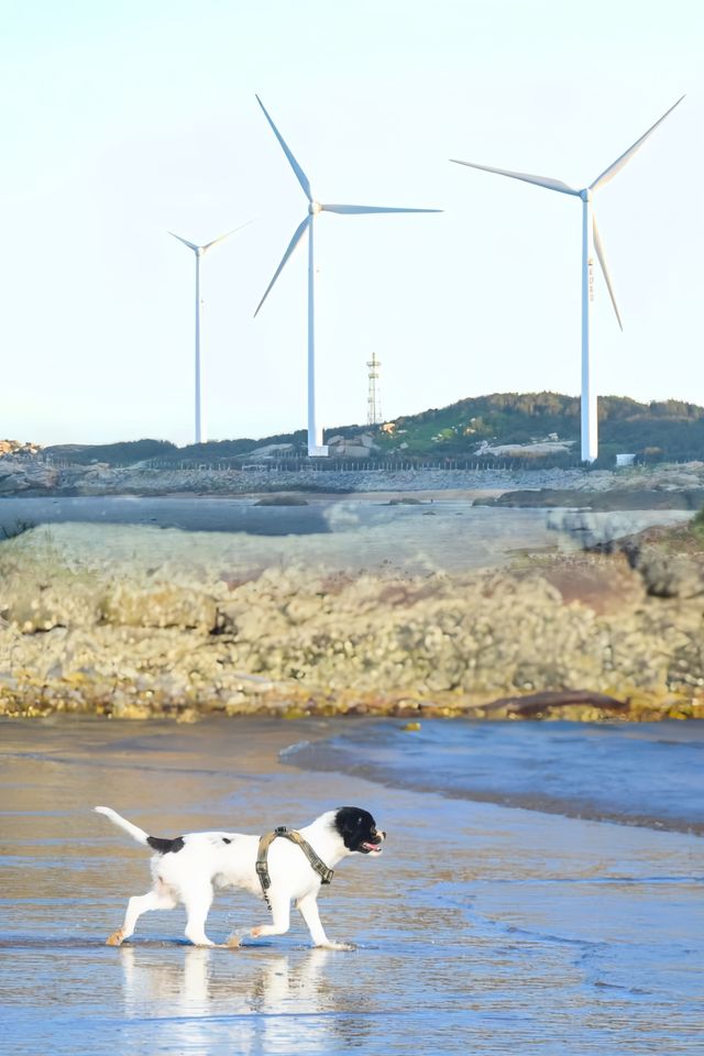 被國家地理安利的‖最美海岸線冷門又有趣
