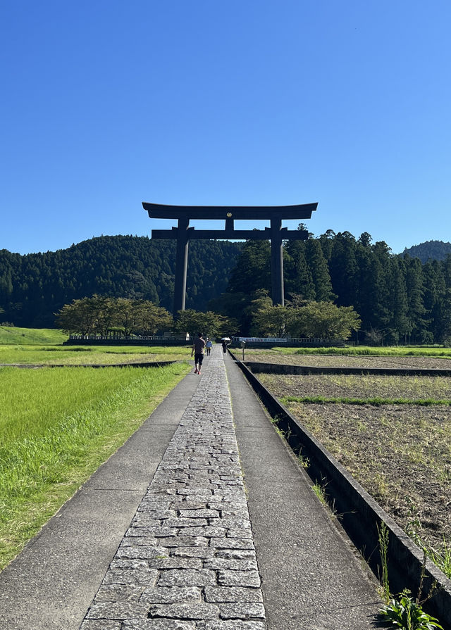 日本關西紀伊半島環線11日遊