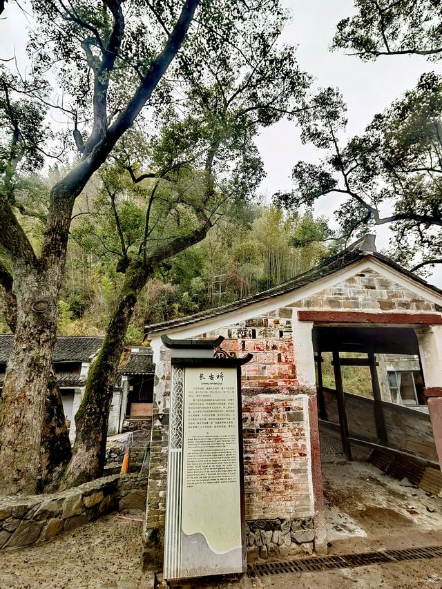 寧波棲霞坑村長安橋，散落鄉野的廊橋遺夢