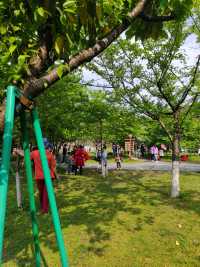 桂林南溪山公園之旅