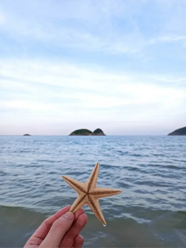 The MacLehose Trail has been selected by 'National Geographic' as one of the 'Top 20 Hiking Trails in the World'