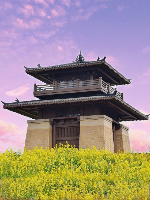 成都真的太會了！宮殿式博物館元開放！