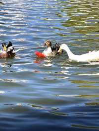 周末親子好去處！！！