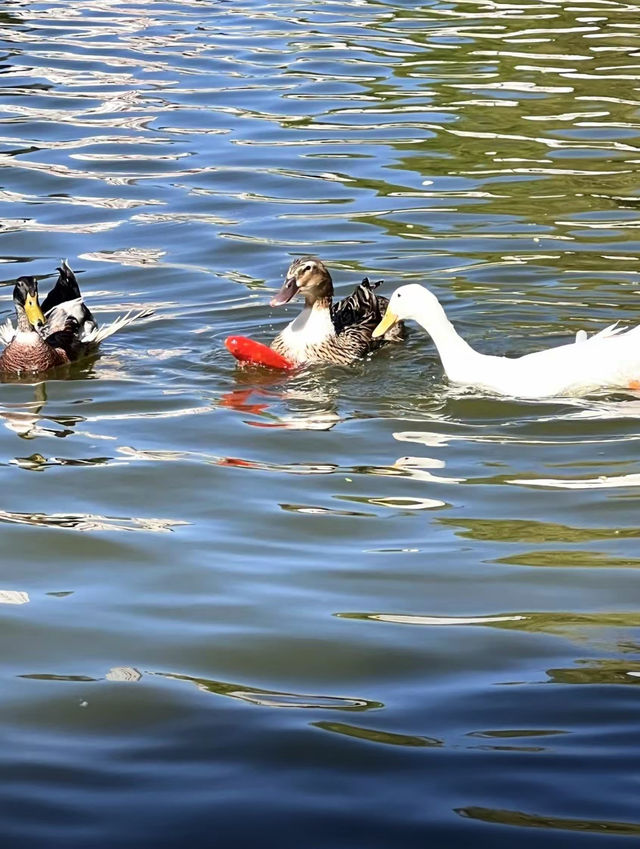 周末親子好去處！！！