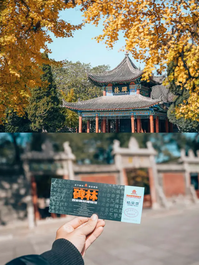唐代孔廟，如今被稱為碑林。