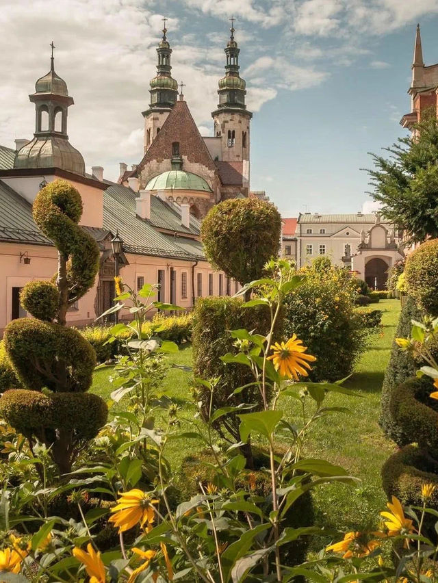 Amazing sceneries in Spring 🇳🇱🇮🇹🇵🇱🇬🇷